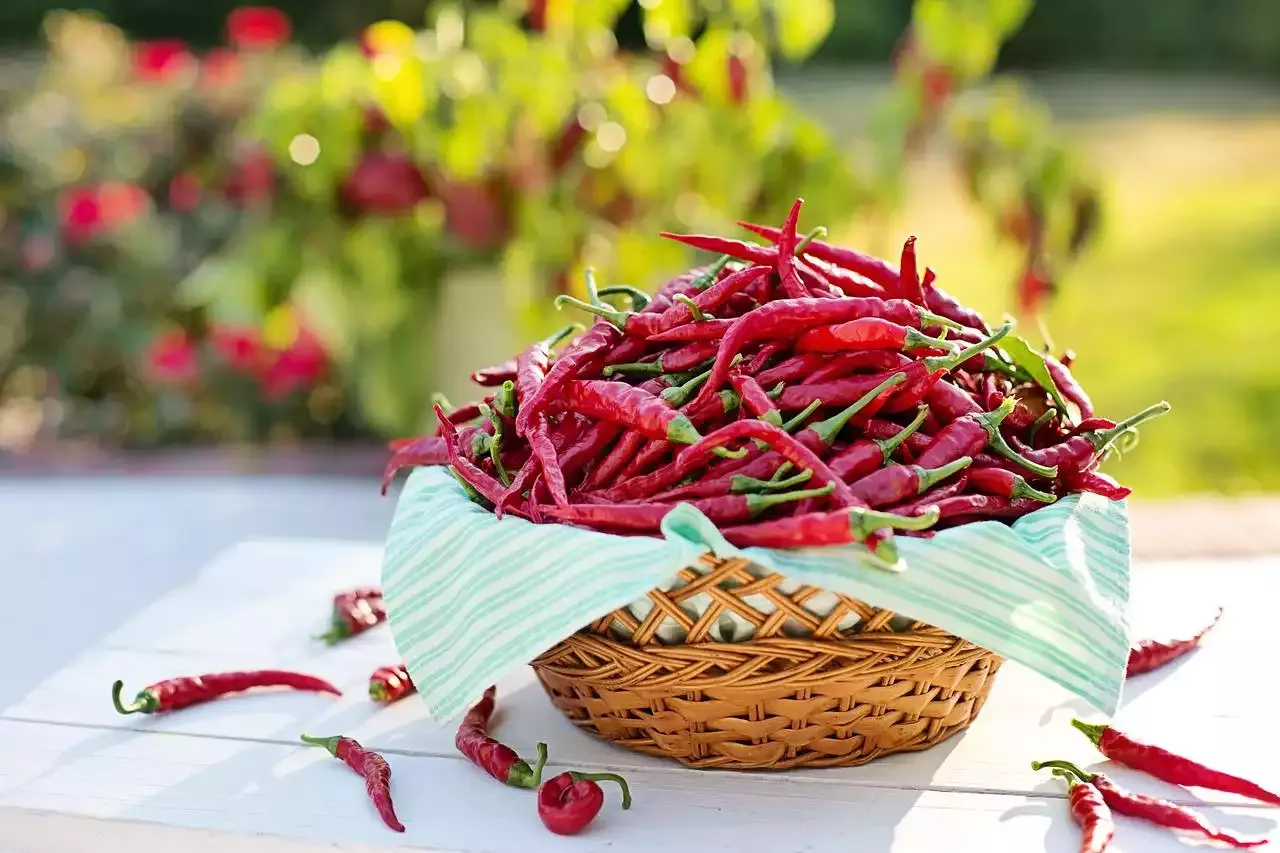 The World’s Best Chefs - Anne Sophie Pic