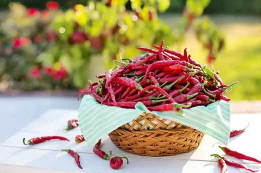 The World’s Best Chefs - Anne Sophie Pic