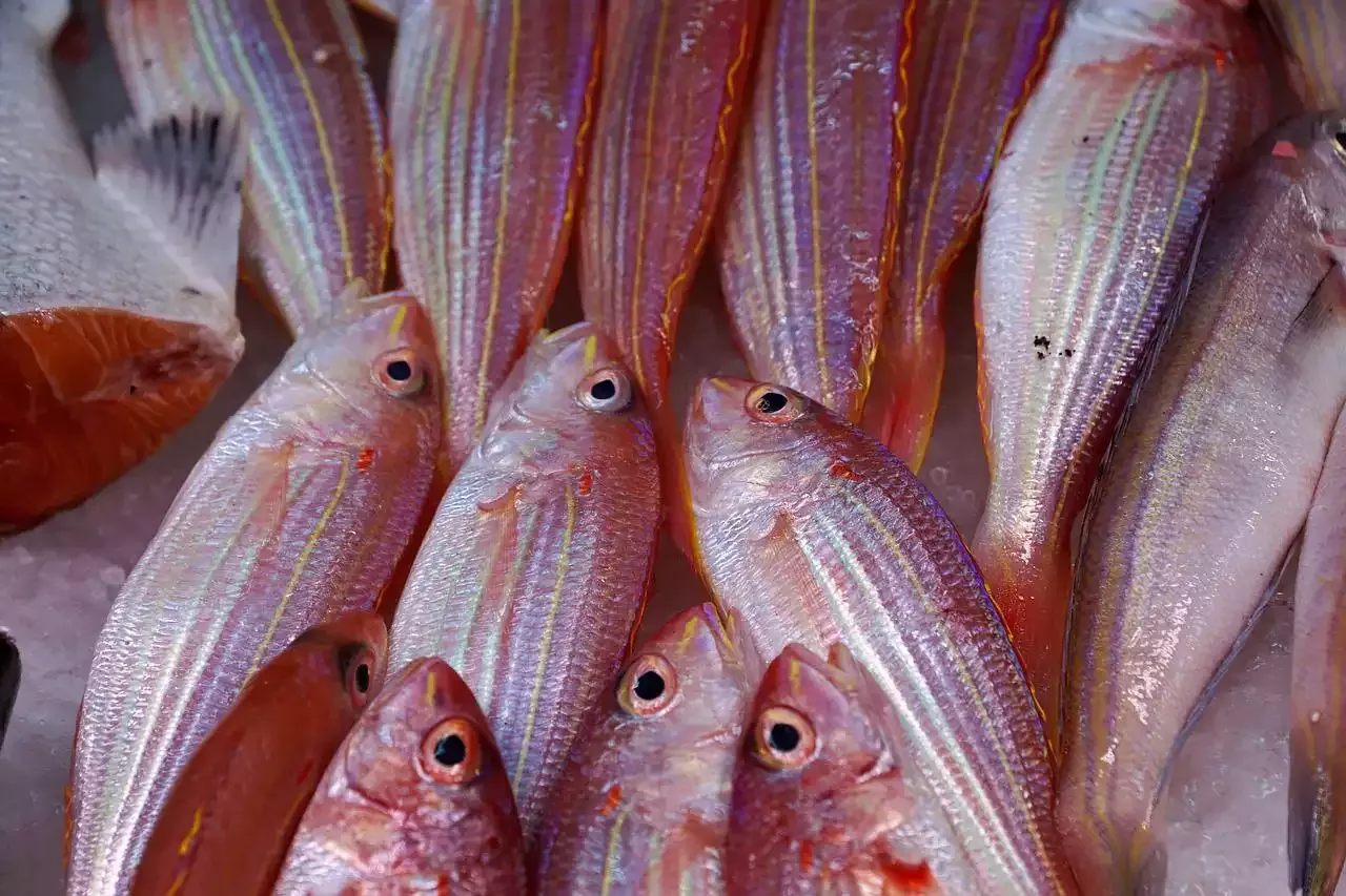 The Role of Fish and Seafood in French Cuisine