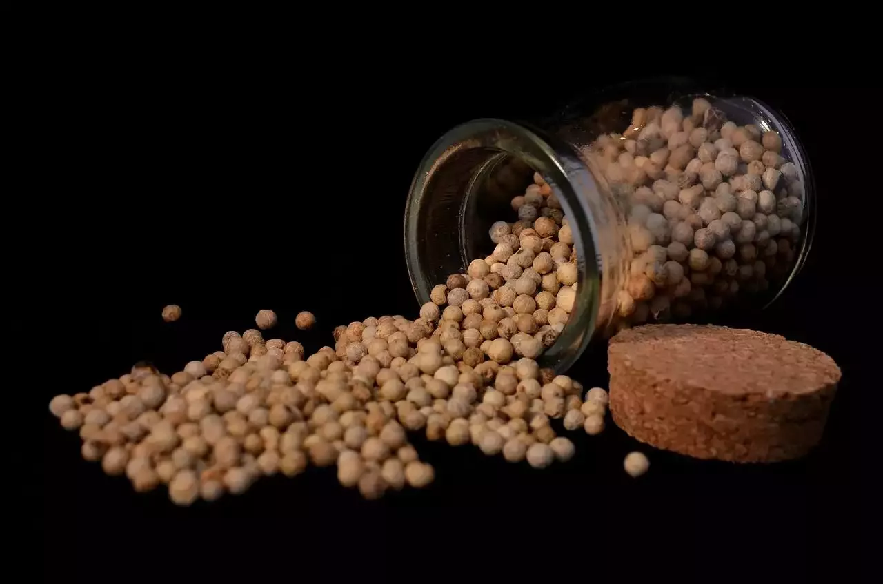 Ketchup, Mustard and Mayonnaise: Sauces as Condiments